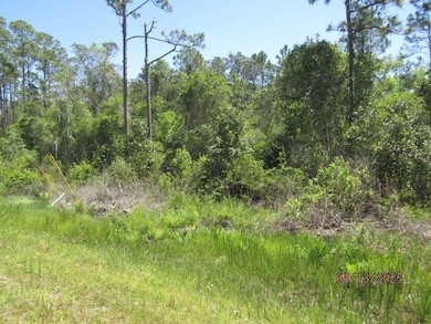 Lot 6 Hwy 67, Carrabelle, FL 32322 - photo 2