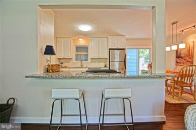 100 Loganberry Ct, Rehoboth Beach, DE 19971 - photo 6