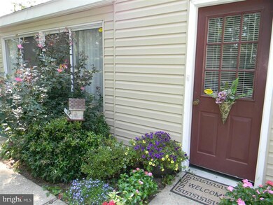 6442 Main St, Queenstown, MD 21658 - photo 6