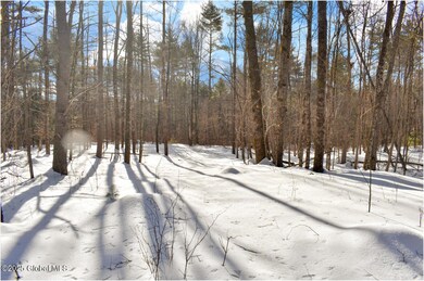L92 Highview Ln unit Lot 8, Wevertown, NY 12886 - photo 5