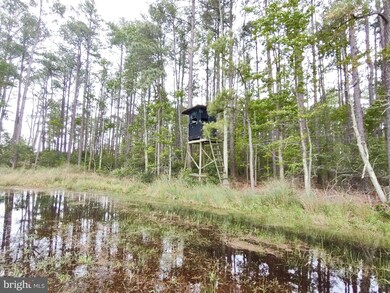 2839 Lakesville Crapo Rd, Church Creek, MD 21622 - photo 6