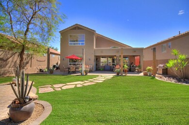 3 Backyard
