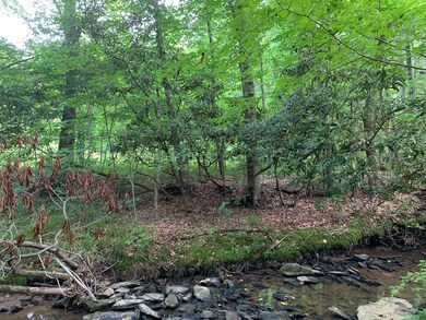Ciciora 2256 Wayside-Talcott Rd Pic 12