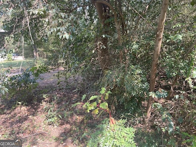 207 Morris St, Palmetto, GA 30268 - photo 5