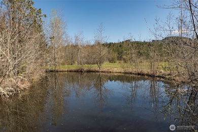 4890 Lost Mountain, Sequim, WA 98382 - photo 3