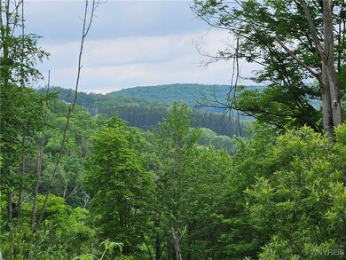 20 Fresh Tracks Way unit 20, Mansfield, NY 14731 - photo 5