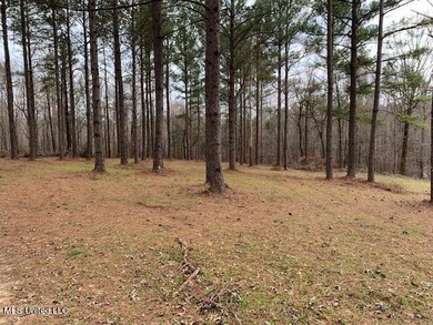 Manicured Pines