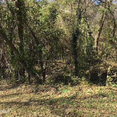 00 Gant Rd, Graham, NC 27253 - photo 4