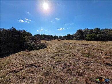 TBD Avila Ln, Briggs, TX 78608 - photo 3