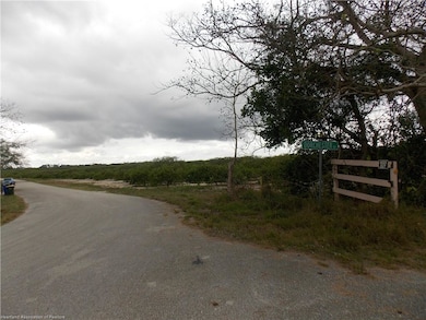 117 Dorchester Rd, Lake Placid, FL 33852 - photo 4