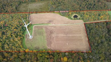 0 Downey Rd, West Union, NY 14877 - photo 3