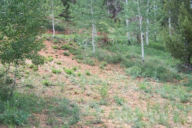 Ski View Estates lot 31 blk B 002