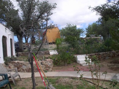 orchard and garden