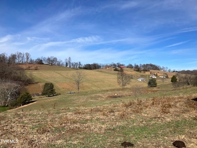 Tbd Methodist Ridge Rd, Telford, TN 37690 - photo 2