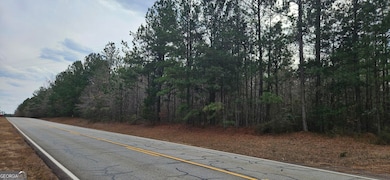 0 Georgia 220 unit TRACT B 10468309, Lincolnton, GA 30817 - photo 2