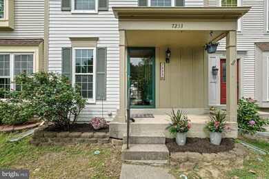 7233 Stover Dr, Alexandria, VA 22306 - photo 6