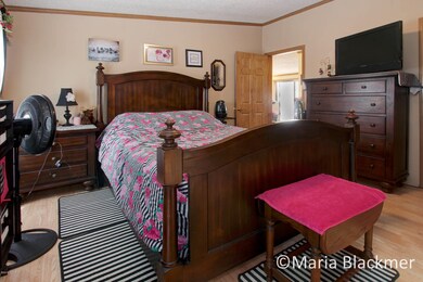 7028 O Brien Rd, Hubbardston, MI 48845 - photo 6