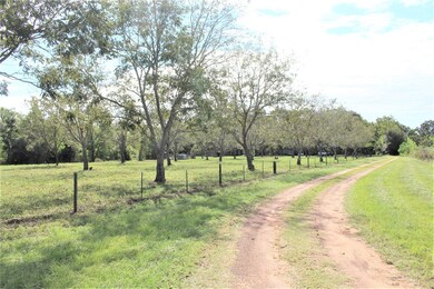 28023 Fm 1488 Rd, Hockley, TX 77447 - photo 4