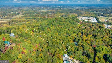 333 Song Bird Dr, Cleveland, GA 30528 - photo 6