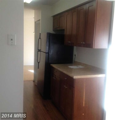 11224 Chestnut Grv Square unit 325, Reston, VA 20190 - photo 5