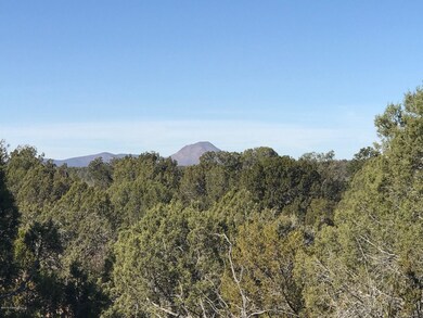 0 Cooks Trail unit 1026045, Ash Fork, AZ 86320 - photo 3