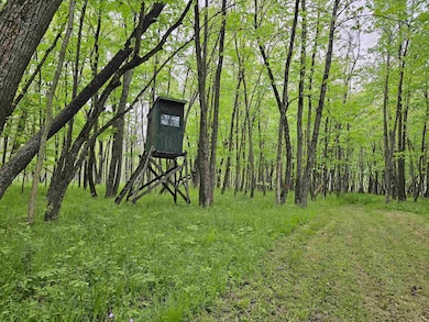 0 Koplien Rd unit 50309317, Weyauwega, WI 54983 - photo 7