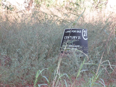 503 Dupont St, Augusta, GA 30901 - photo 3