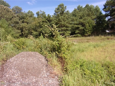 TBD Scenic View Rd, Ozark, AR 72949 - photo 2