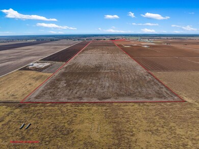 173.62 Acres Farm To Market 50, Hearne, TX 77859 - photo 6
