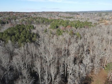 County Rd 208, Heflin, AL 36264 - photo 6