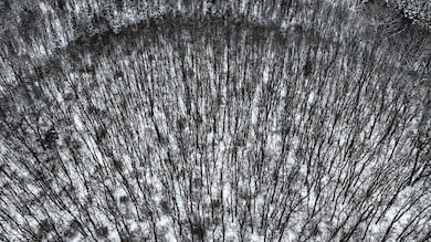 Lots 11 & 14 County Road A, Grand Marsh, WI 53936 - photo 6