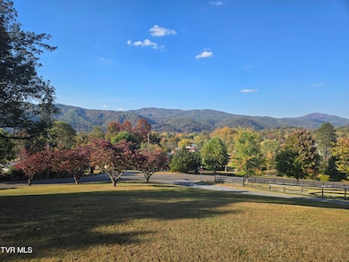 720 N Mohawk Dr, Erwin, TN 37650 - photo 4