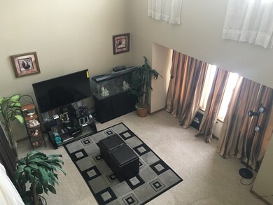 1910 Tawny Ct, Joliet, IL 60435 - photo 4