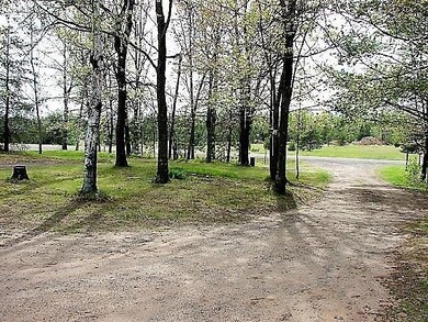 5267 Hwy A, Webster, WI 54893 - photo 2