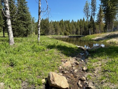 TBD Sawtooth Loop, Cascade, ID 83611 - photo 7
