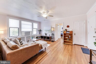 1365 Kennedy St NW unit 506, Washington, DC 20011 - photo 3