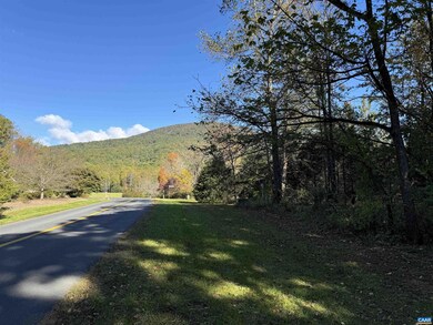 18 Black Walnut Ln unit 1-H B3, Nellysford, VA 22958 - photo 3