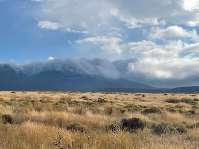 TBD S Fork Ray Creek Rd, Townsend, MT 59644 - photo 3