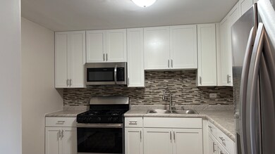 8808 N Leslie Ln unit 2F, Des Plaines, IL 60016 - photo 7