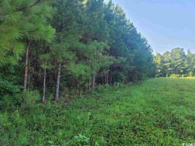wooded property
