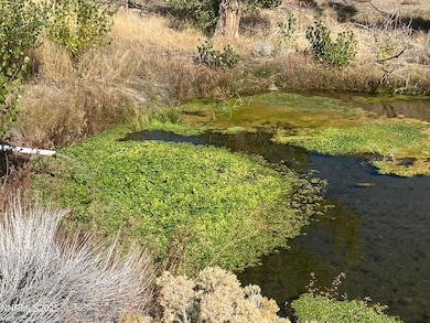 1155 US Highway 395 S, Gardnerville, NV 89410 - photo 3