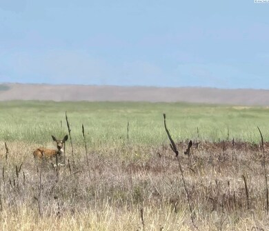2100 N Snyder Rd, Ritzville, WA 99169 - photo 4