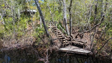 30 Lizard Ln, Sopchoppy, FL 32358 - photo 6