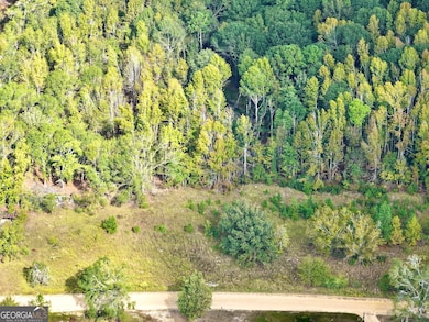 0 Eugene Ward Rd unit 10652768, Adrian, GA 31002 - photo 5