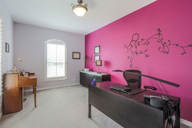 5029 Prairie Sage Rd, Naperville, IL 60564 - photo 2