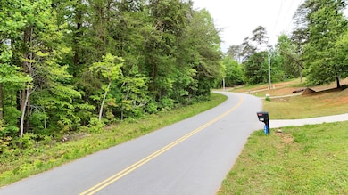 Mt Tabor Church Rd, Easley, SC 29640 - photo 3