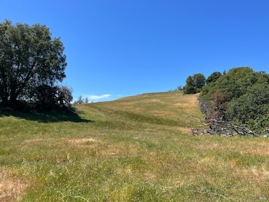 38555 Hauser Bridge Rd, Cazadero, CA 95421 - photo 7