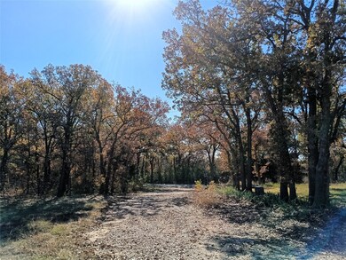 614 Hanging Tree Rd, Bowie, TX 76230 - photo 2