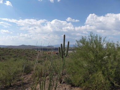 VIEW FROM NORTH EDGE OF SLAB