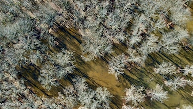 0 Highway 12, Tchula, MS 39169 - photo 5